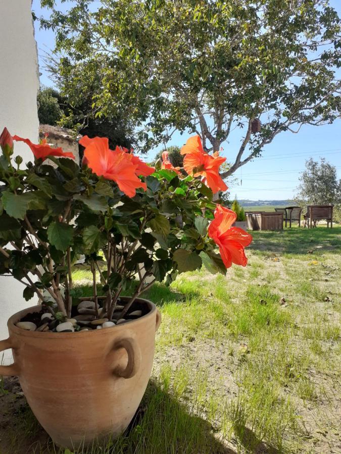 Ferienwohnung ***** Quinta Do Por Do Sol ***** Figueira da Foz Exterior foto
